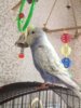 IMG-20161224-WA0001.jpg