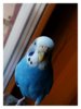 IMG_20161228_210453_688.jpg
