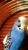 IMG_20161228_211151_505.jpg