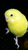 Screenshot_2016-12-28-03-29-32.png