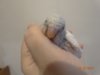 DSC00903.JPG