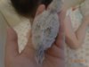 DSC00907.JPG