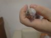 DSC00909.JPG