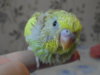 SAM_3728.JPG