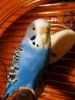 IMG_20161230_202842_668.jpg
