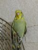 20161226_175319.jpg