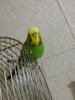 20161226_174850.jpg