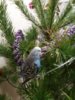20161226_174643.jpg