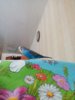 IMG_20161231_111943_087.jpg