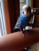 IMG_20161231_115725_704.jpg