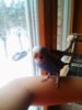 IMG_20161231_115113_877.jpg