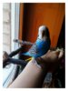 IMG_20170102_112657_763.jpg