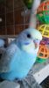 20170103_093928.jpg