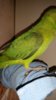 20170103_101753.jpg
