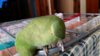 20170103_095413.jpg