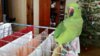 20170103_095435.jpg