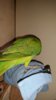 20170103_101756.jpg
