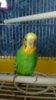 IMG_20170104_123105.jpg