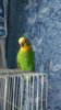 IMG_20170104_122841.jpg