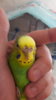 20170103_150827.jpg