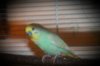 2017-01-04 21.55.24.jpg