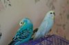 IMG_20170105_112343_407.jpg