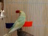 IMG_20170106_123728_442.jpg