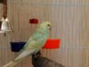 IMG_20170106_123755_041.jpg