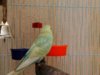 IMG_20170106_123653_852.jpg