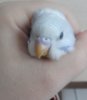 DSC00976.JPG