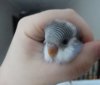 DSC00981.JPG