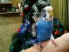IMG_20170106_210250_421.jpg