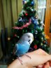 IMG_20170106_212258_039.jpg