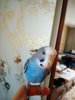 IMG_20170108_135114_267.jpg