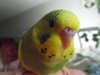 SAM_3770.JPG