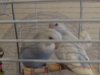 DSC01002.JPG