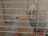 DSC00999.JPG