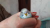 20170110_151511.jpg