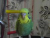 SAM_3800.JPG