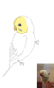 backupPreview.png