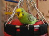 SAM_3802.JPG