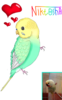 2017-01-12 23.55.06.png