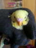 20170115_114303.jpg