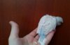 IMG_20170118_010606_240.JPG