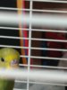 IMG_20170118_144125.jpg
