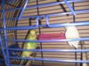 IMG_20170119_172057.jpg