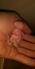 IMG-20170119-WA0153.jpeg