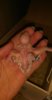 IMG-20170119-WA0157.jpeg