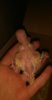 IMG-20170119-WA0155.jpeg