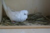 DSC09206.JPG